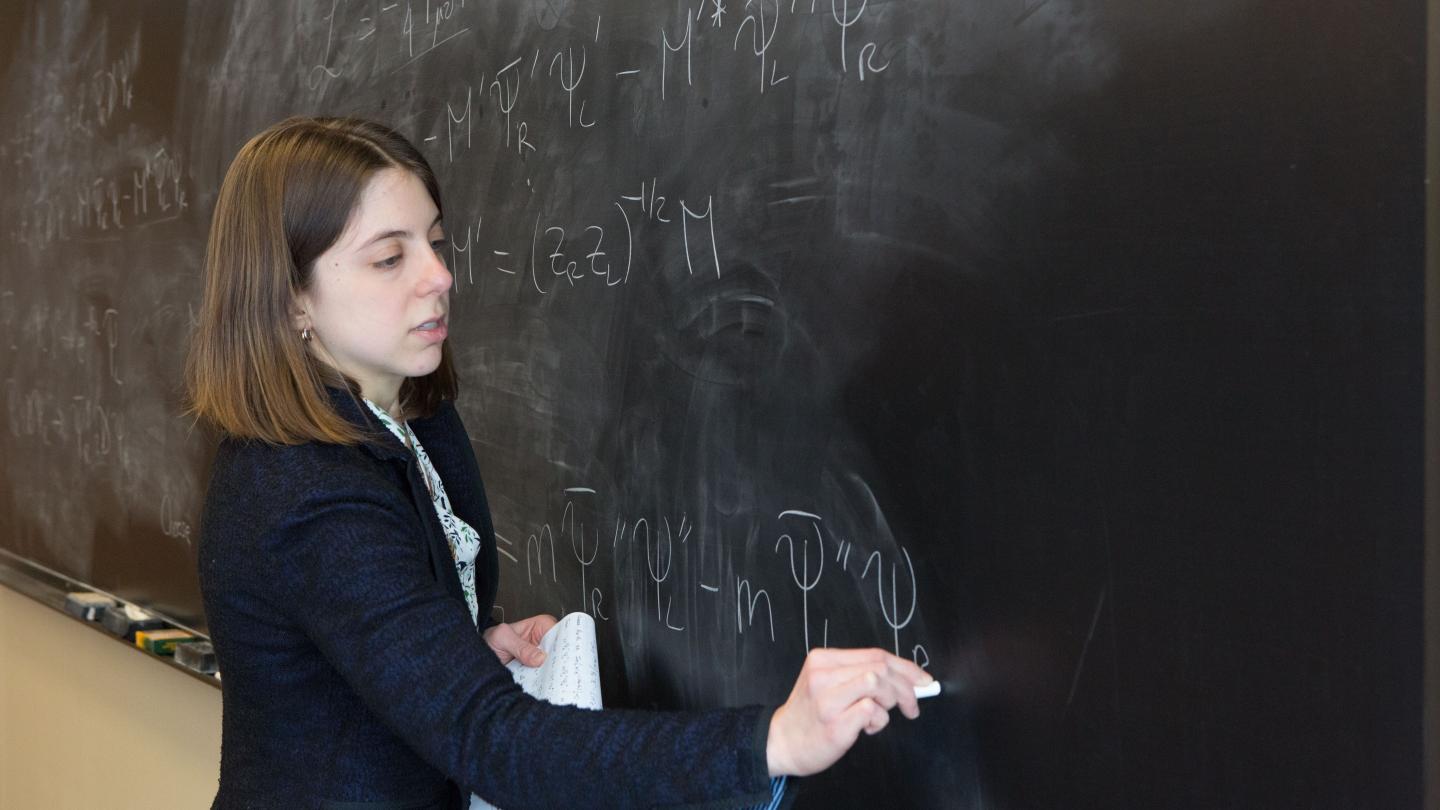 Faculty writing on chalkboard