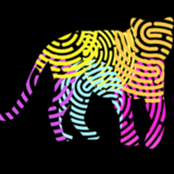 Tigerpreneurs