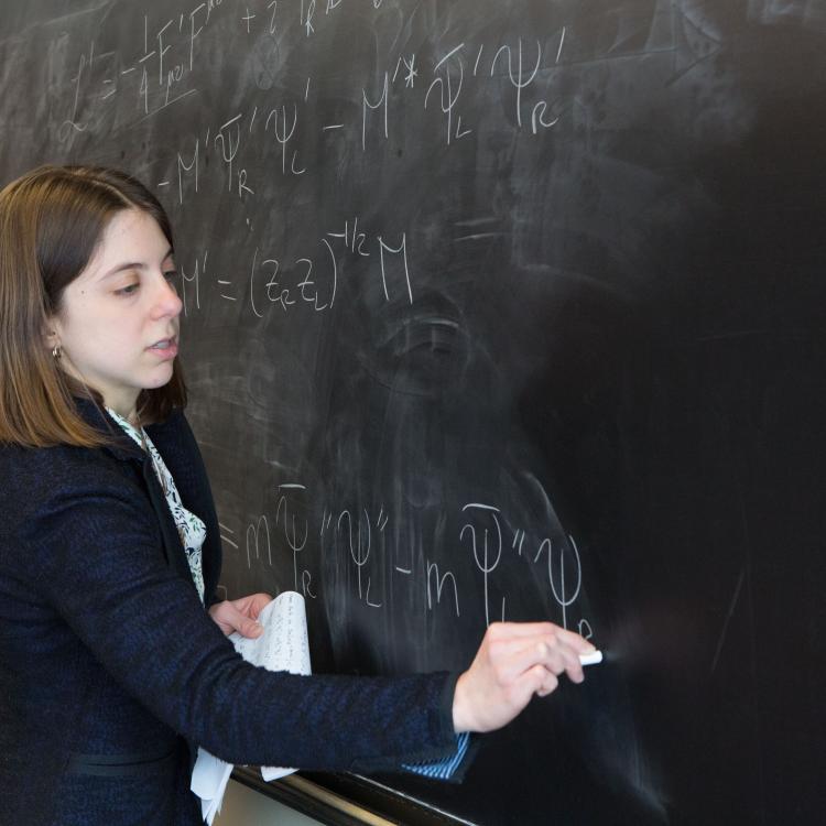 Faculty writing on chalkboard