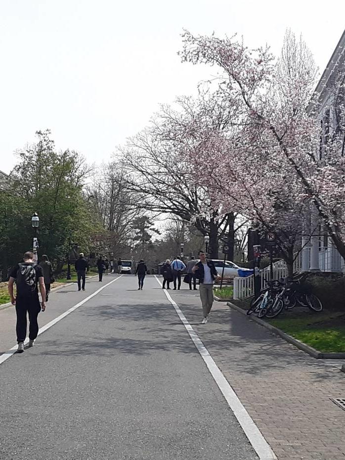 Princeton University Campus paths