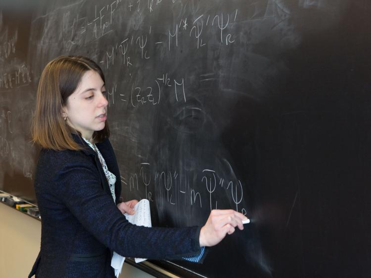 Faculty writing on chalkboard